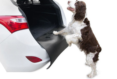 BARRY-Stoßstangenschutz