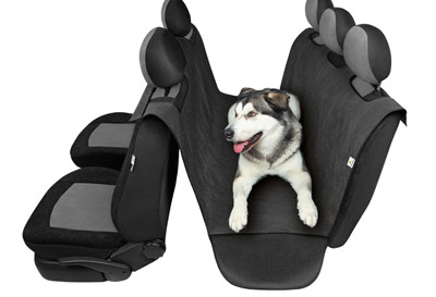 Schonbezug für Transport von Hund MAKS