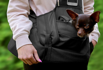 Beverly Hills Hundetragetasche, M